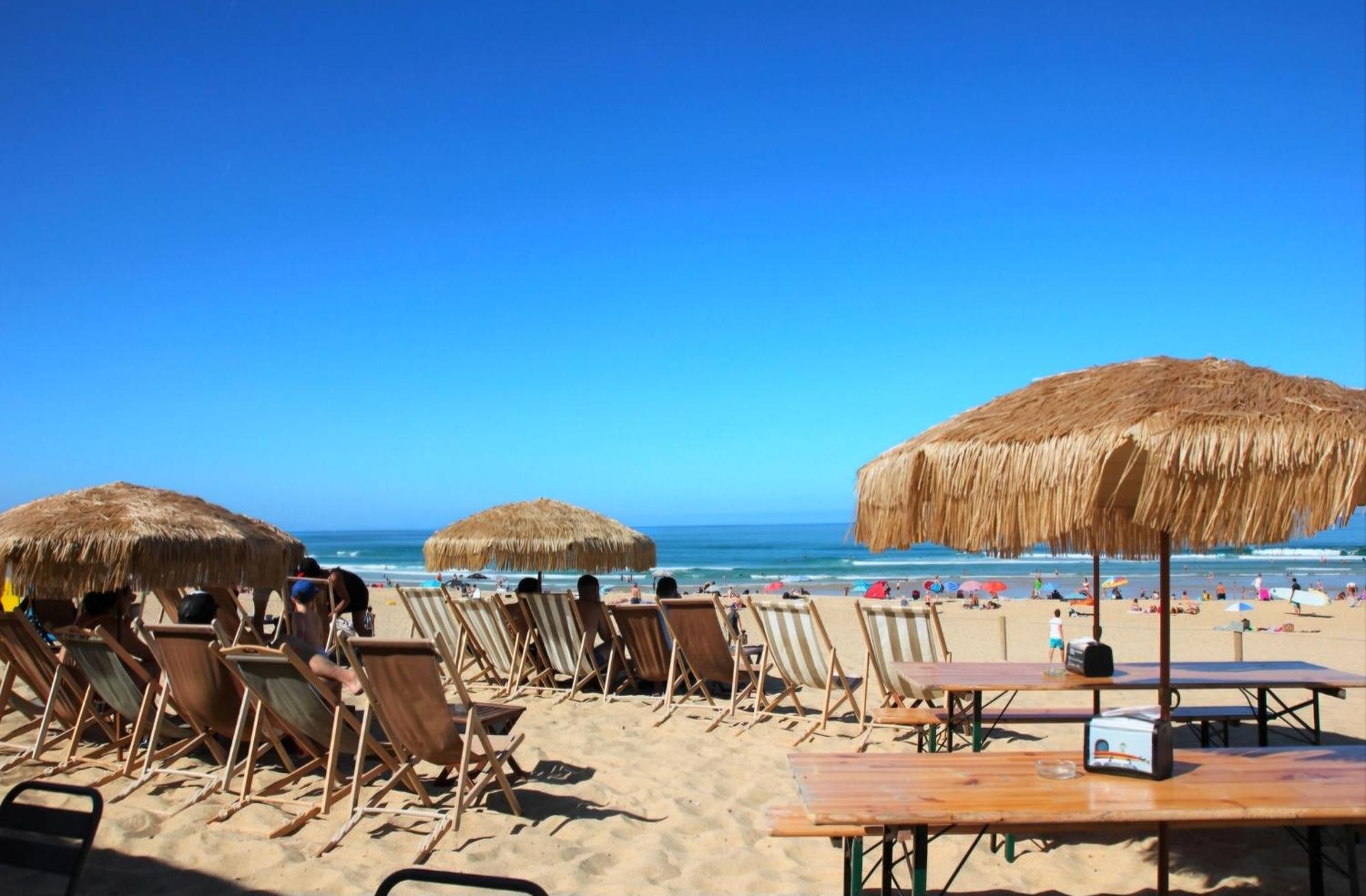 Appartement Avec Terrasse/Bord De Mer/Ideal Surf Сеньосс Екстер'єр фото